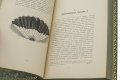 Подарочная книга 'Записки ружейного охотника Оренбургской губернии' - фото 10