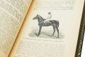 Подарочная книга 'Книга о лошади (4 тома)' - фото 8