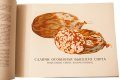 Подарочная книга 'Колбасы и мясокопчености' - фото 7