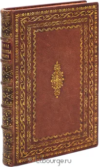 А.С. Дембовский, История о нынешнем состоянии правительства польскаго подарочное издание в кожаном переплете