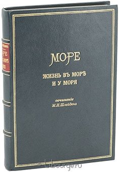 М.И. Шлейден, Море. Жизнь в море и у моря. подарочное издание в кожаном переплете