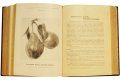 Подарочная книга 'Крымское промышленное плодоводство' - фото 8