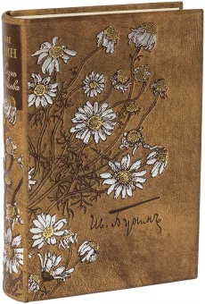 Книга 'Жизнь Арсеньева (с офортами)'