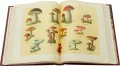 Подарочная книга 'Книга о вкусной и здоровой пище (1955)' - фото 15