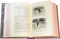 Подарочная книга 'Фигурное катание на коньках (международный стиль)' - фото 15