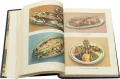 Иллюстрации в подарочном издании 'Кулинария (1955, №2)'