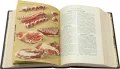 Подарочная книга 'Кулинария (1955, №2)' - фото 14
